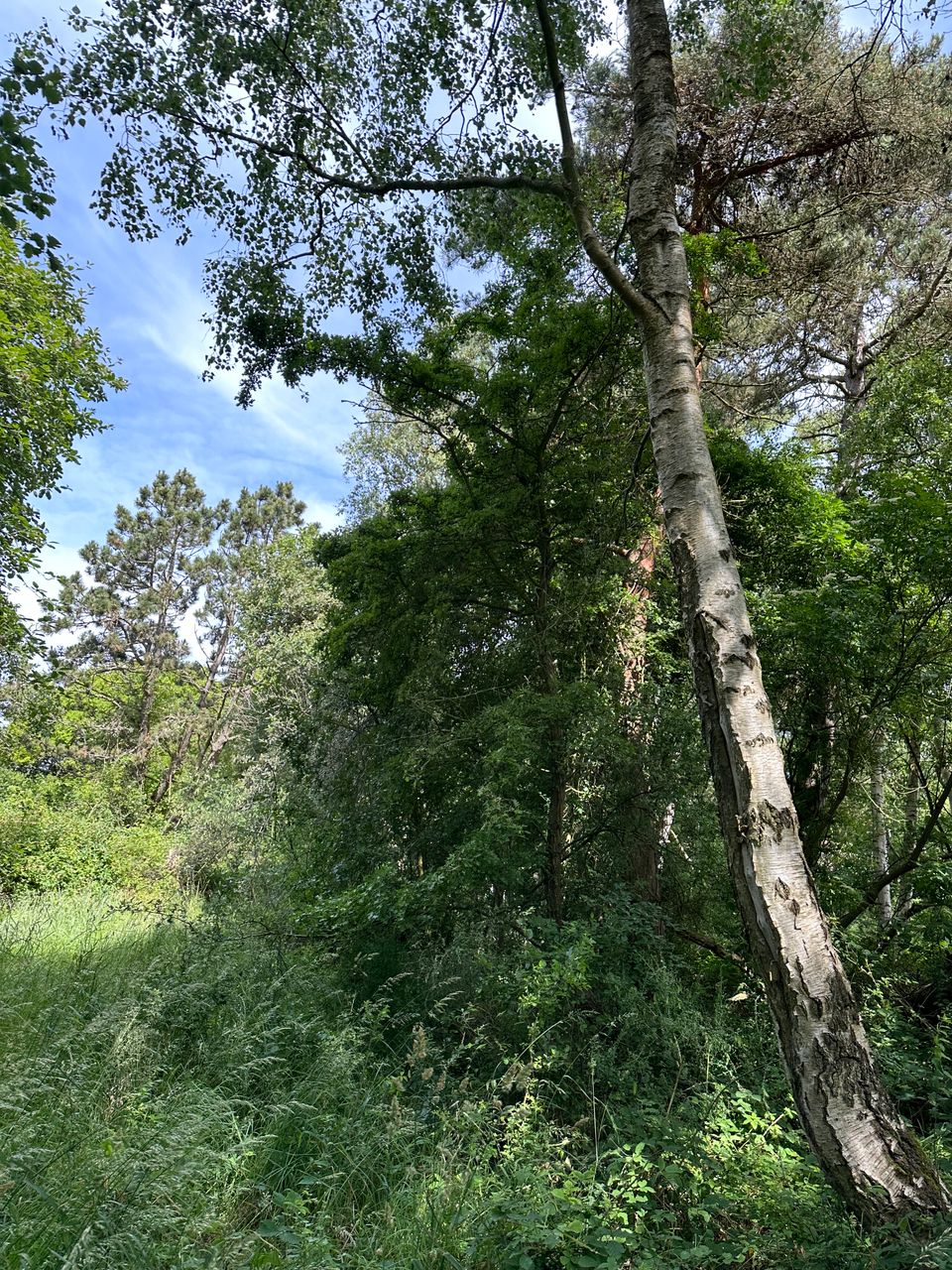 image 04