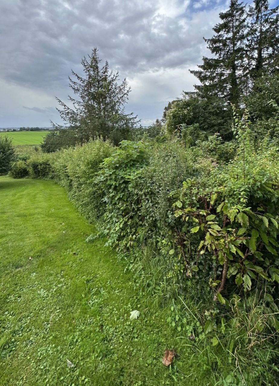 image 04
