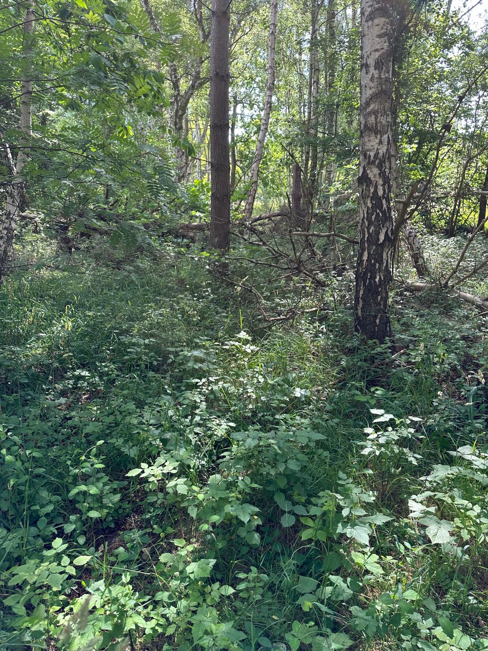 image 03
