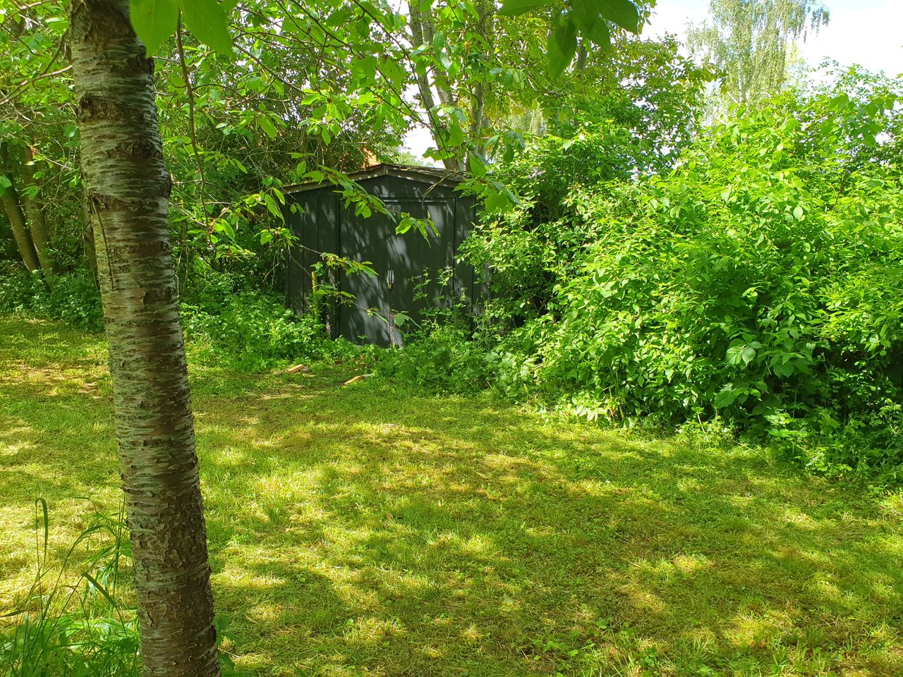 image 03