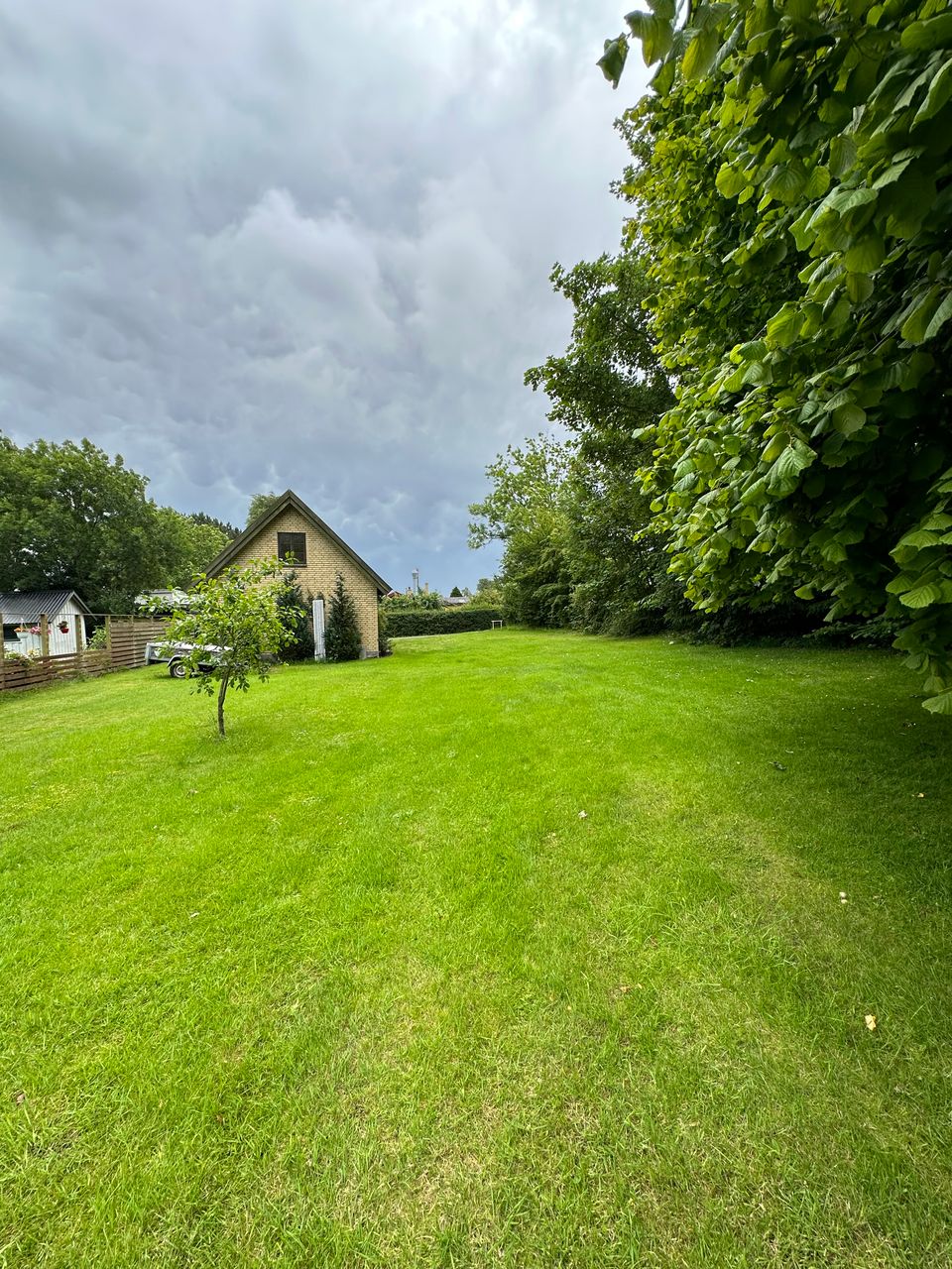 image 01
