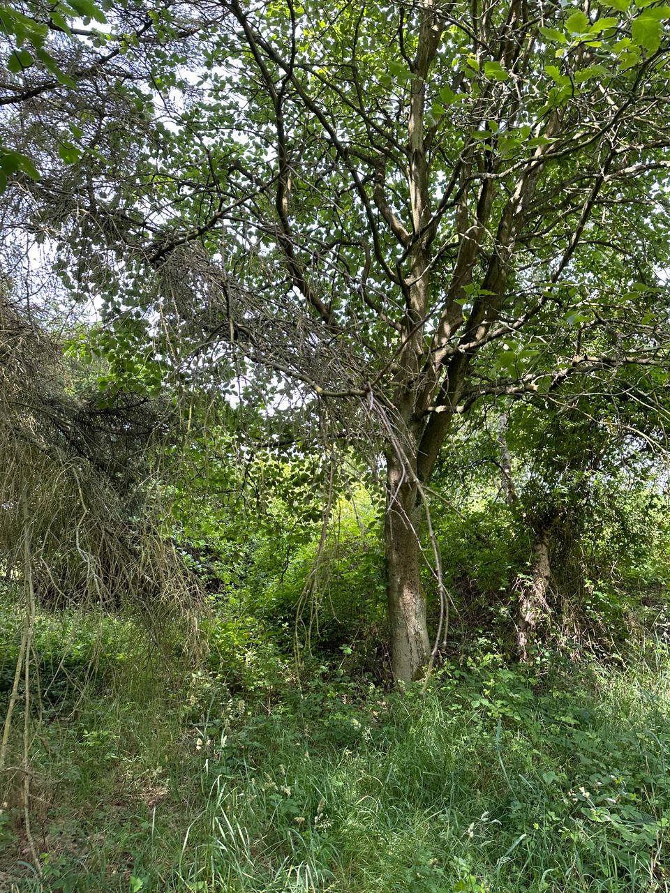 image 03