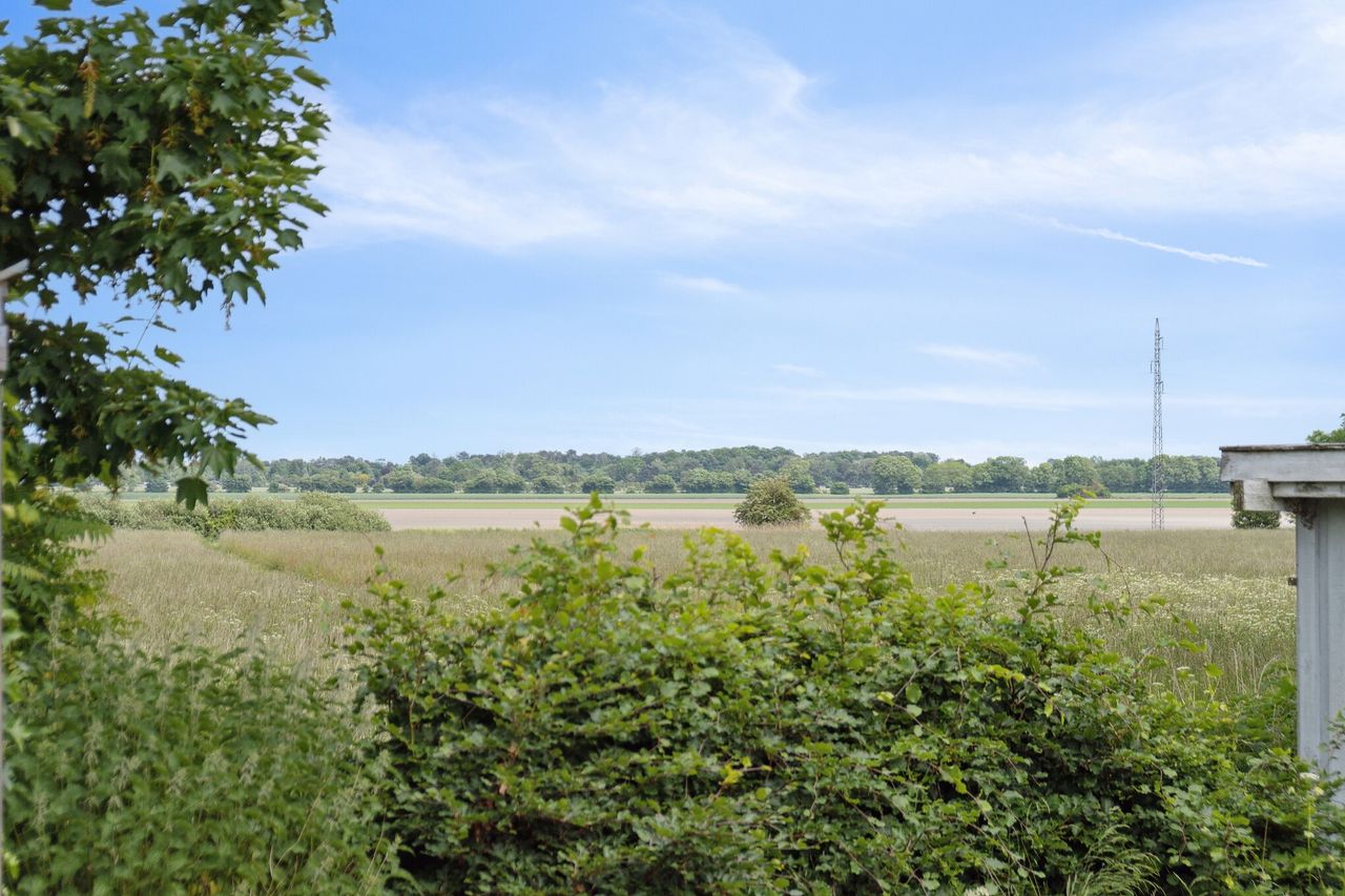 image 02