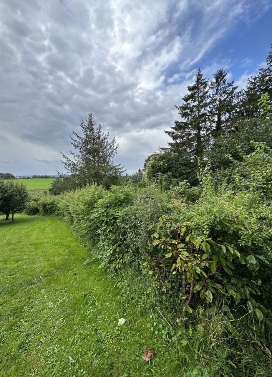 image 01