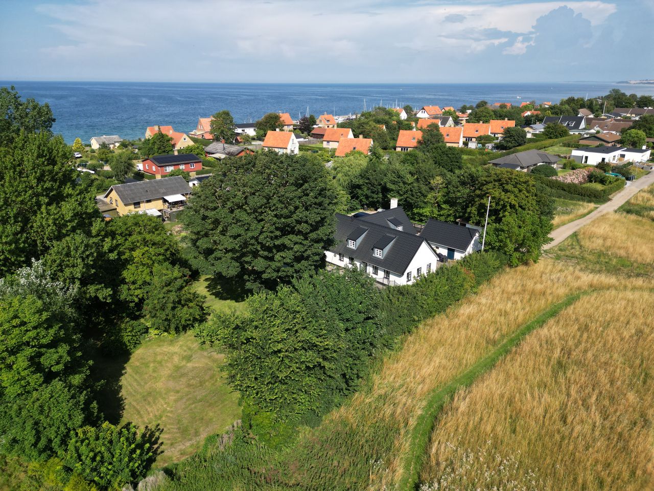 image 01