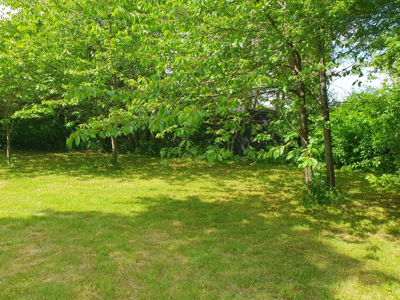 image 02