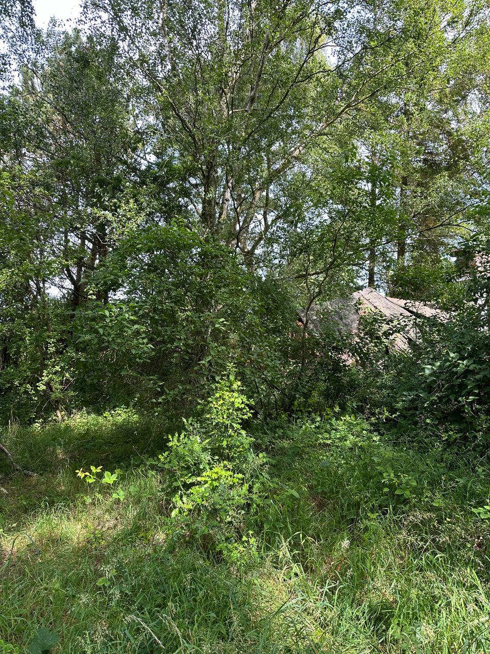 image 04
