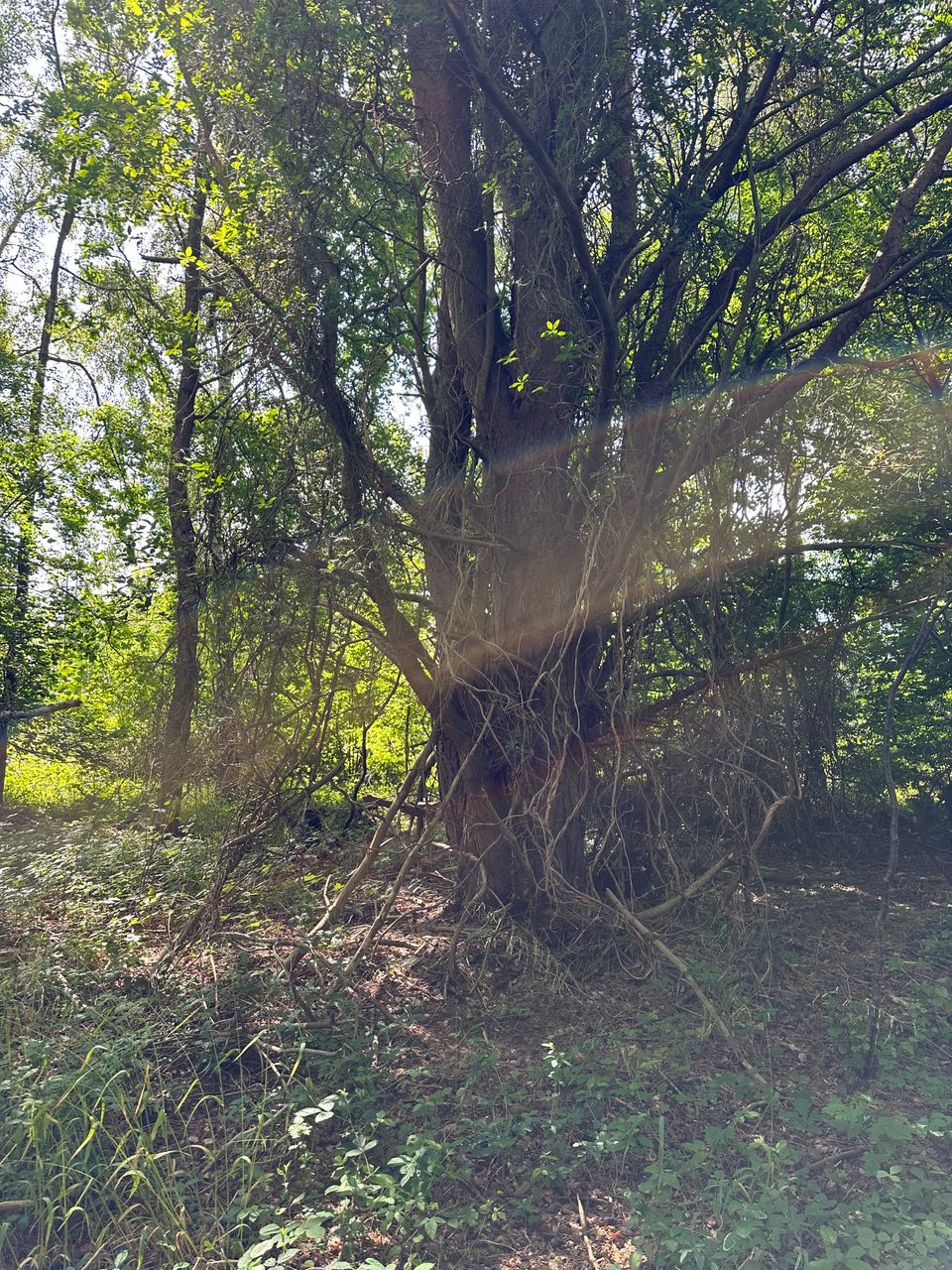 image 02