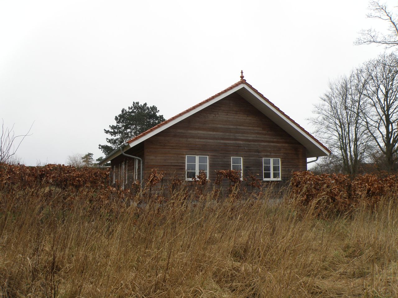 image 04