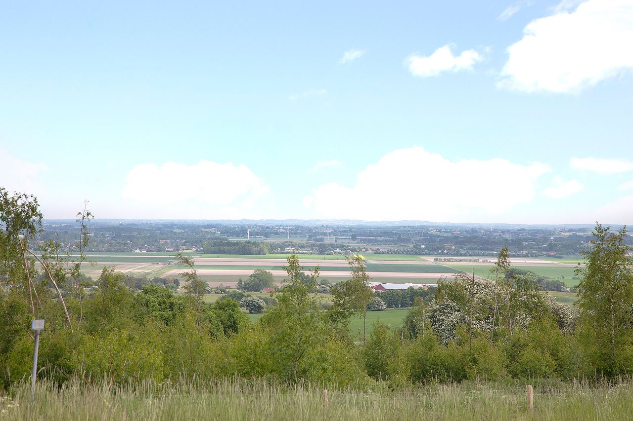 image 04