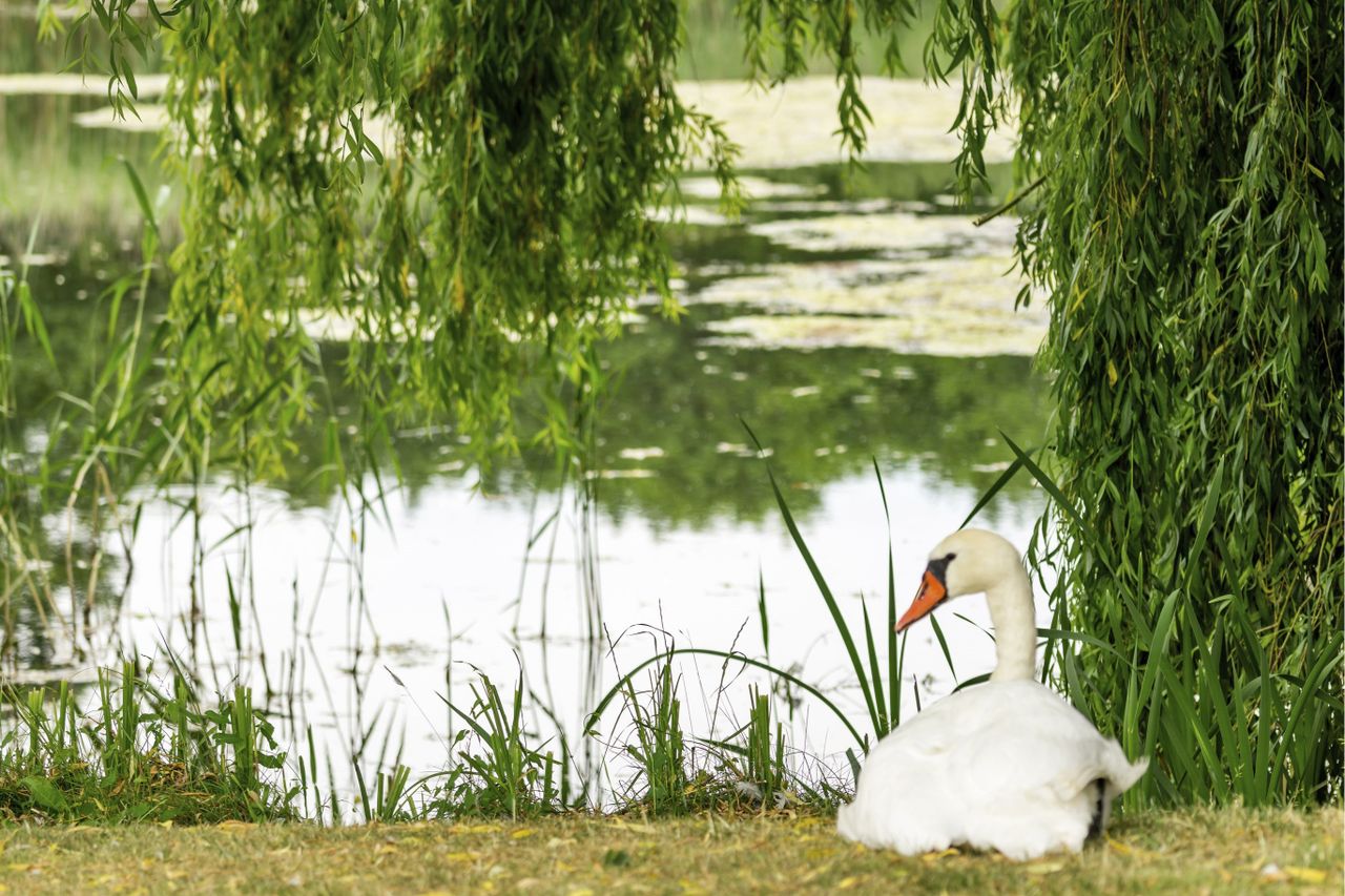 image 04