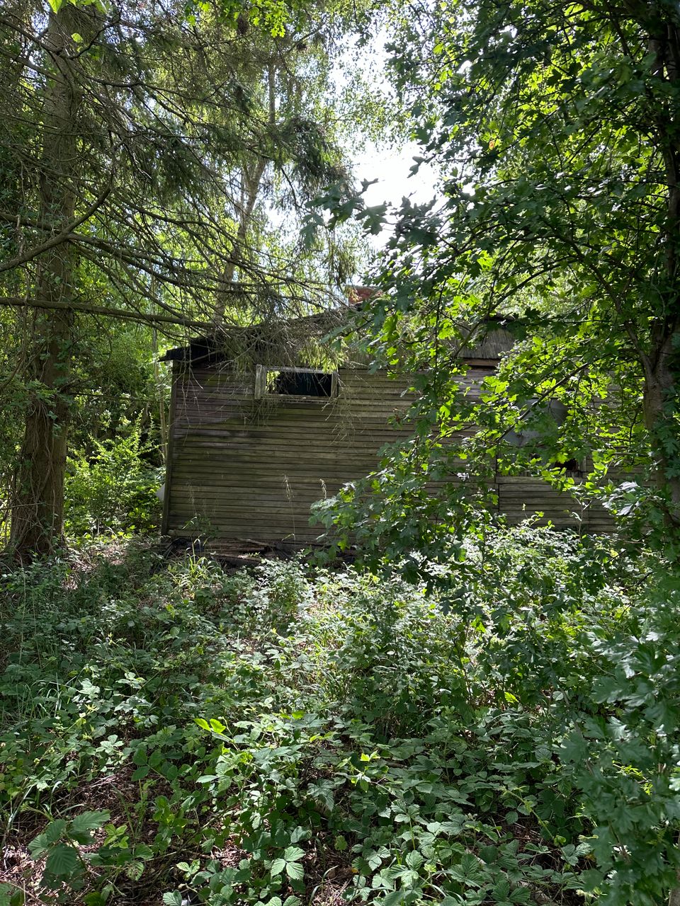 image 01