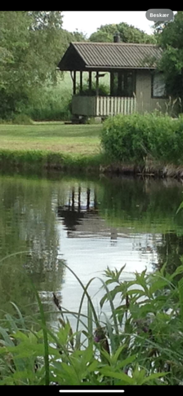 image 01