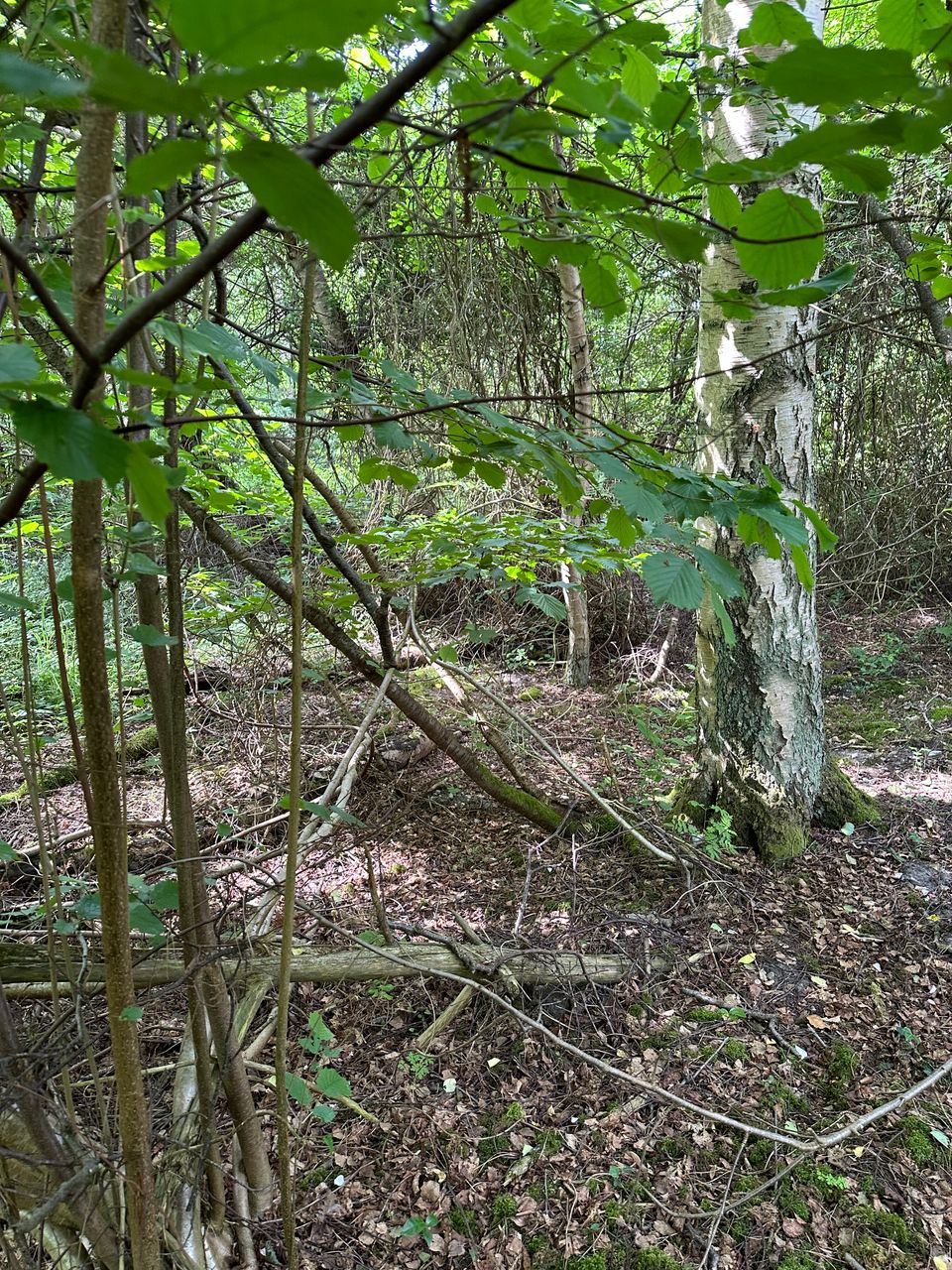 image 02
