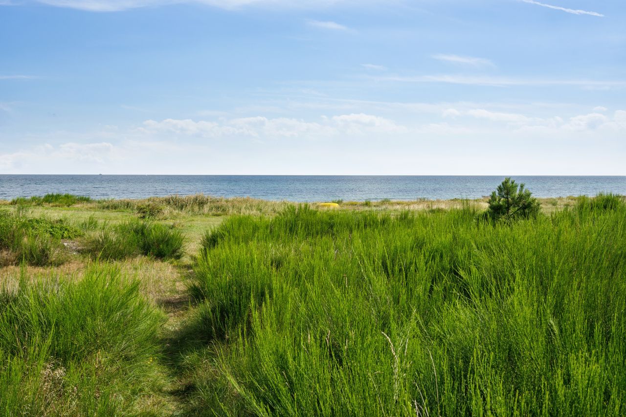 image 01