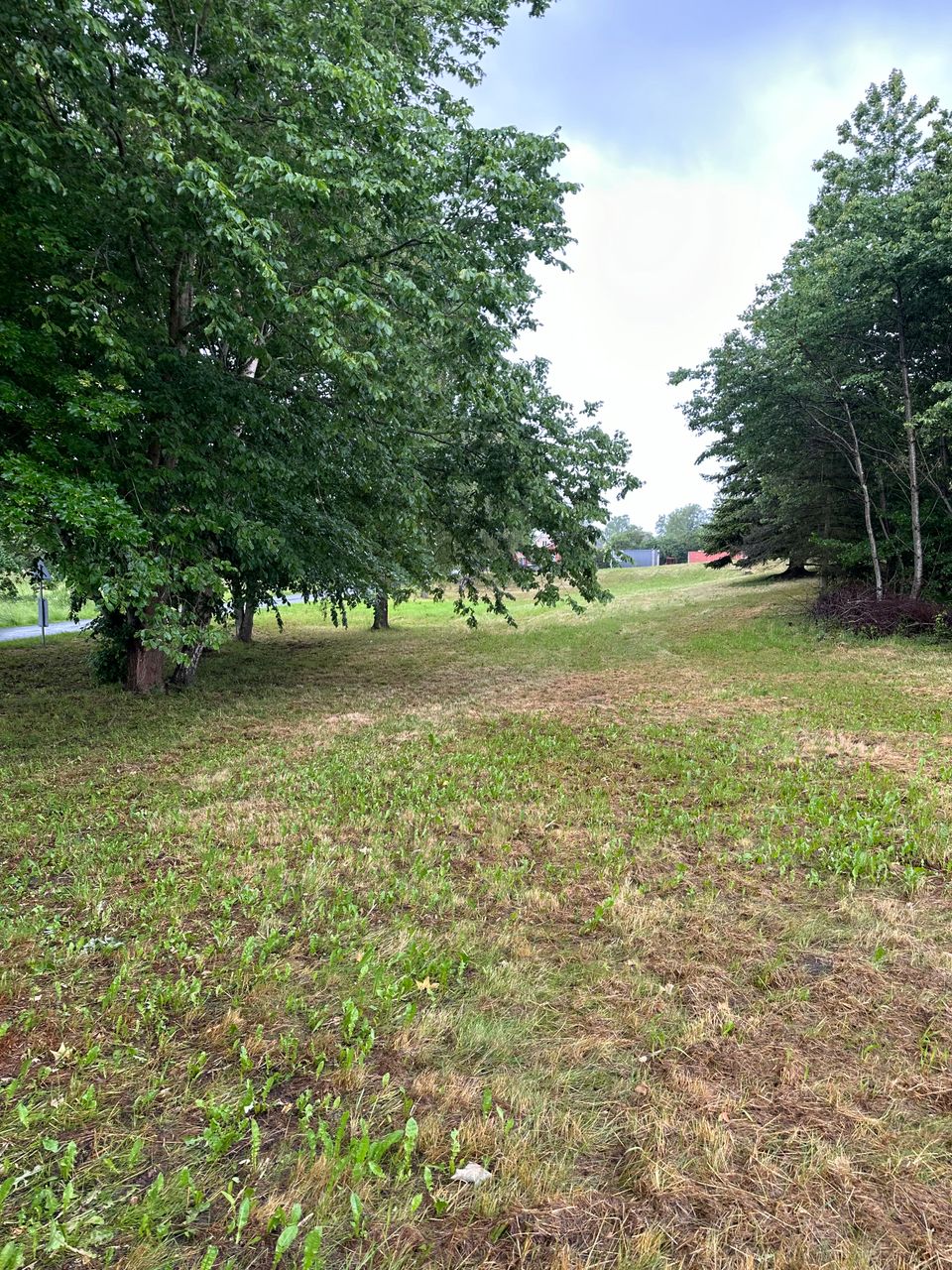 image 03