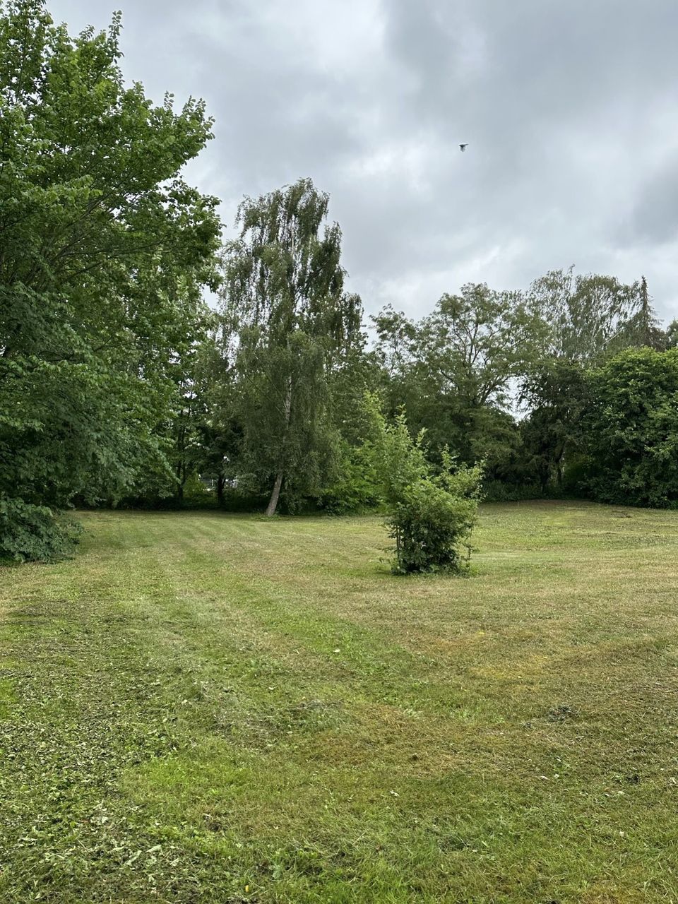 image 01