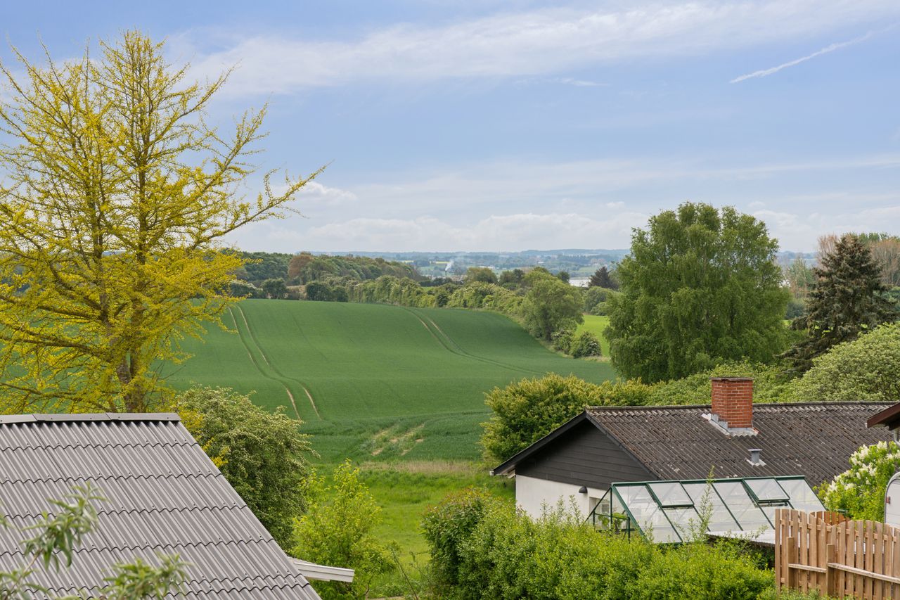 image 04