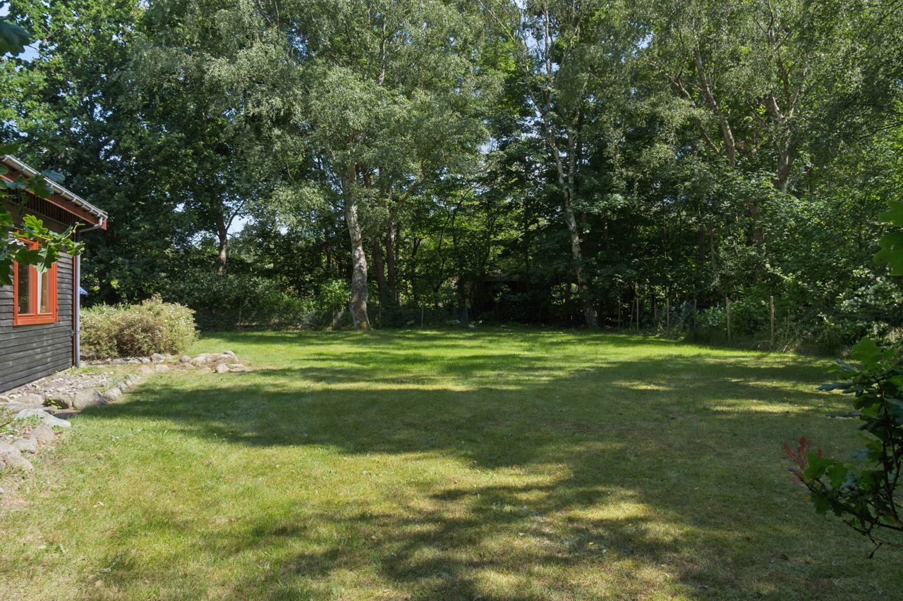 image 04
