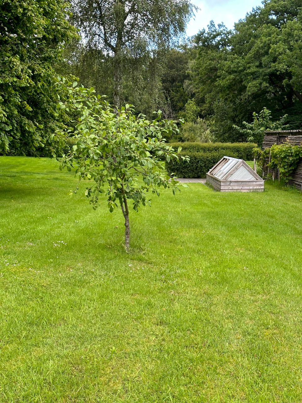 image 02