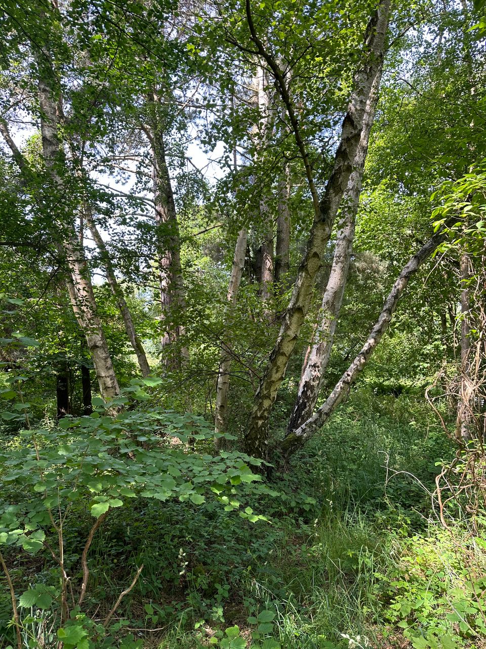 image 01